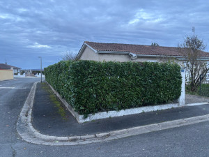 Photo de galerie - Taille de haies et d'arbustes