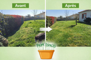 Photo de galerie - Tonte de pelouse - Débroussaillage