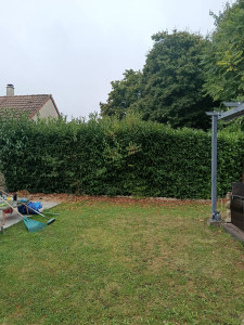 Photo de galerie - Taille de haies et d'arbustes