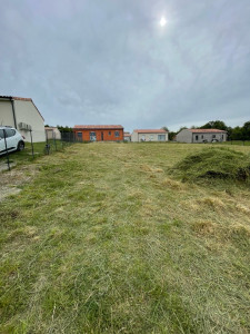 Photo de galerie - Débroussaillage 1000m2 