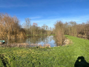 Photo de galerie - Tonte et élagage