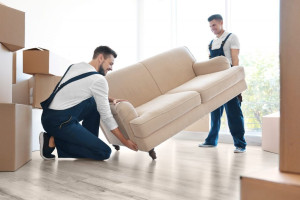 Photo de galerie - Meublito - livraison canapé dans le salon