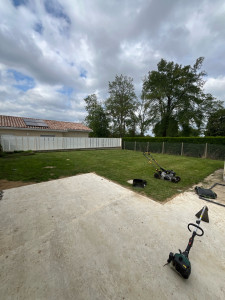 Photo de galerie - Entretien d’un jardin de 200m2