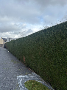 Photo de galerie - Un jolie entretien 