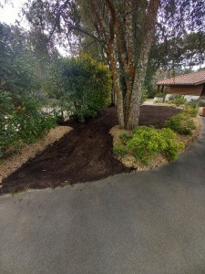 Photo de galerie - Apport de terre et paillage 
réalisation d'un gazon 