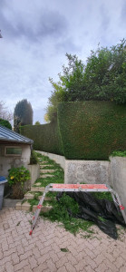 Photo de galerie - Taille pour mise en valeur de bien avant vente de propriété