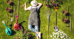 Photo de galerie - Jardinage,  taille de pelouse,  taille haie , entretien du jardin etc..