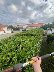 Photo de galerie - Taille de haies