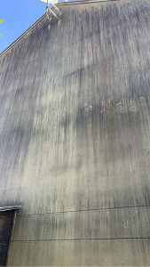Photo de galerie - Voici une façade non traitée avec un champignon progressif qui se développe et abîme 