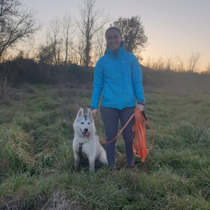 Photo de galerie - Ayant un husky sibérien, je suis habituée à le promener et je passe tout mon temps libre avec, je me ferais un plaisir de promener votre chien, et ou de l’inclure dans notre cocon le temps d’une journée si besoin 