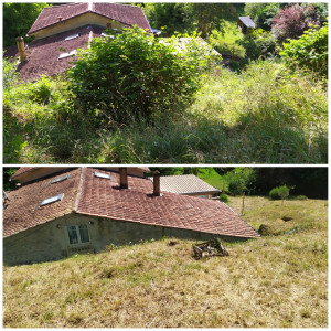 Photo de galerie - Tonte de pelouse - Débroussaillage
