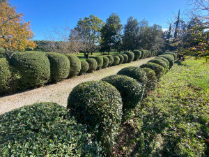 Photo de galerie - Paysagiste - Aménagement du jardin