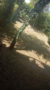 Photo de galerie - Après 