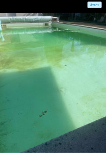 Photo de galerie - Entretien piscine et rattrape eau verte (avant)