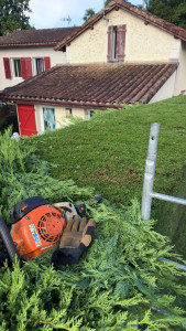 Photo de galerie - Taille de haies et d'arbustes