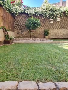 Photo de galerie - J’ai aménagé un jardin agréable et soigné avec gazon de placage, bordures en pierre et plantations décoratives pour offrir un bel espace de détente aux locataires.