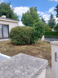 Photo de galerie - Taille de haies et d'arbustes