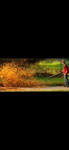 Photo de galerie - Souffleur de feuilles