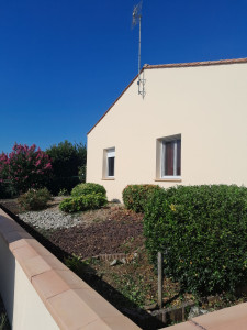 Photo de galerie - Taille haie / désherbage 