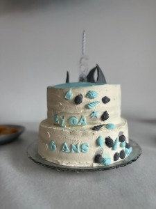 Photo de galerie - Gateau d'anniversaire - cake art
