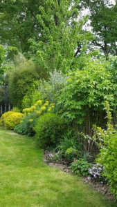 Photo de galerie - Massif sauvage création 