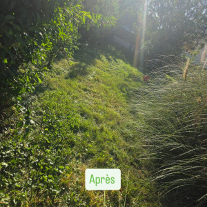 Photo de galerie - Après 