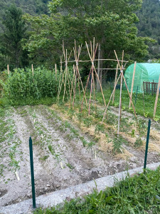 Photo de galerie - Potager 