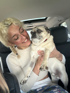 Photo de galerie - Garde animaux