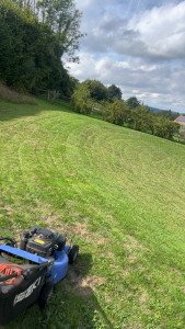 Photo de galerie - Tonte en terrain pentu 