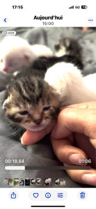 Photo de galerie - Confie-moi votre animal, il  sera heureux