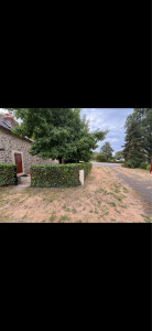 Photo de galerie - Taille de haie 
