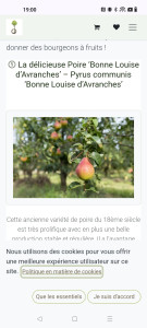 Photo de galerie - Homme toute main