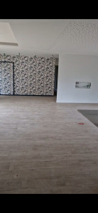 Photo de galerie - Salon de 40m2 avec tapisserie et 2 couleur différente 