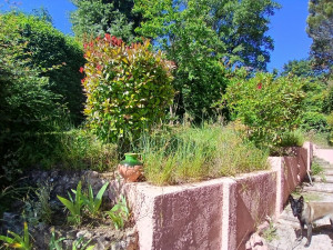Photo de galerie - Tonte de pelouse - Débroussaillage