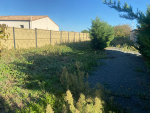 Photo de galerie - Tonte de pelouse - Débroussaillage