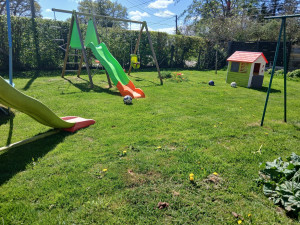 Photo de galerie - Entretien de la pelouse