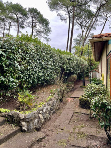 Photo de galerie - Fin d’hivernage pour un jardin à Capbreton 