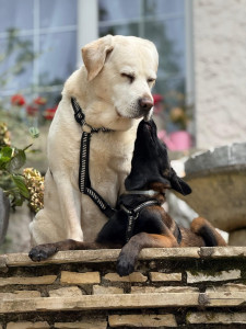 Photo de galerie - ?