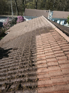 Photo de galerie - Démoussage 