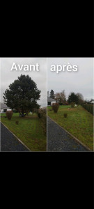 Photo de galerie - Abattage d’arbres
