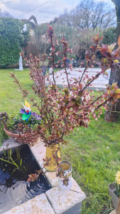 Photo de galerie - Bonjour je vous propose mon service jardinier et des peintures à l'intérieur comme à l'extérieur n'hésitez pas à me contacter plus de renseignements bonne journée à vous