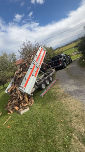 Photo de galerie - Livraison de bois