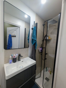 Photo de galerie - Rénovation complète d’une petite salle de bains