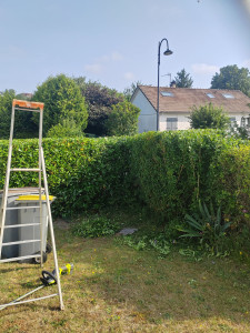 Photo de galerie - Taille de haies et d'arbustes