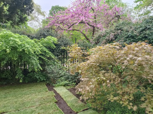 Photo de galerie - Gazon, terasse en bois 
Assemblage de design 