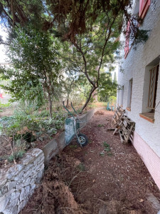 Photo de galerie - Jardinier