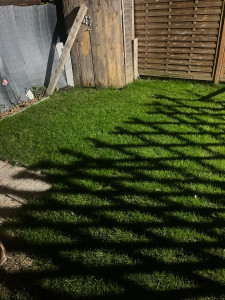 Photo de galerie - Jardinier