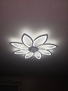 Photo de galerie - Ventilateur électrique 