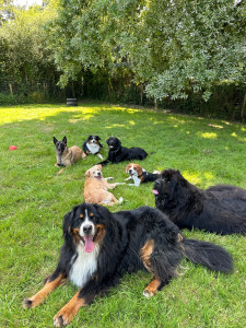 Photo de galerie - Séance collective 