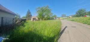 Photo de galerie - Tonte de pelouse - Débroussaillage